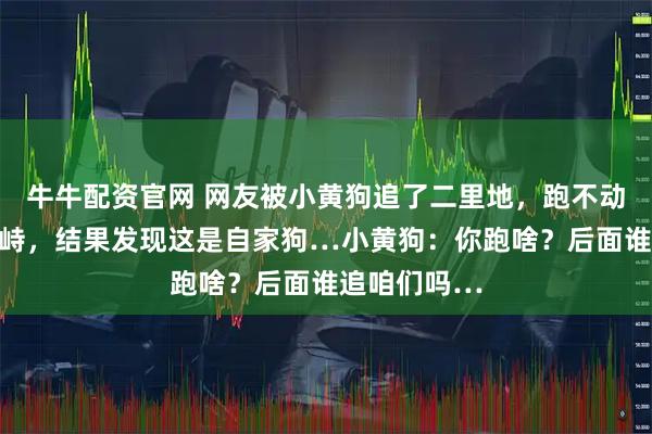 牛牛配资官网 网友被小黄狗追了二里地,跑不动后停下来对峙,结果发现这是自家狗…小黄狗:你跑啥?后面谁追咱们吗…