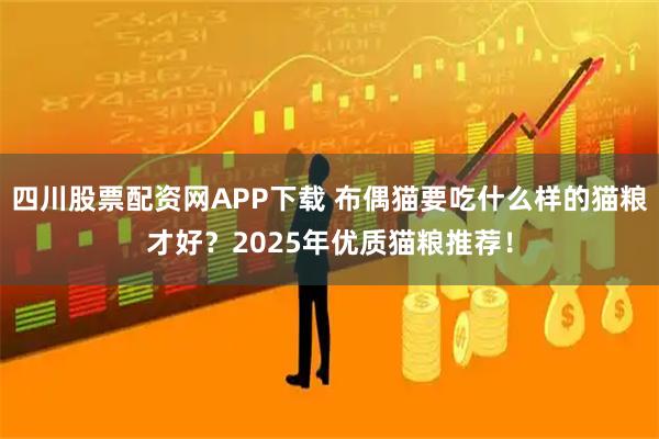 四川股票配资网APP下载 布偶猫要吃什么样的猫粮才好?2025年优质猫粮推荐!